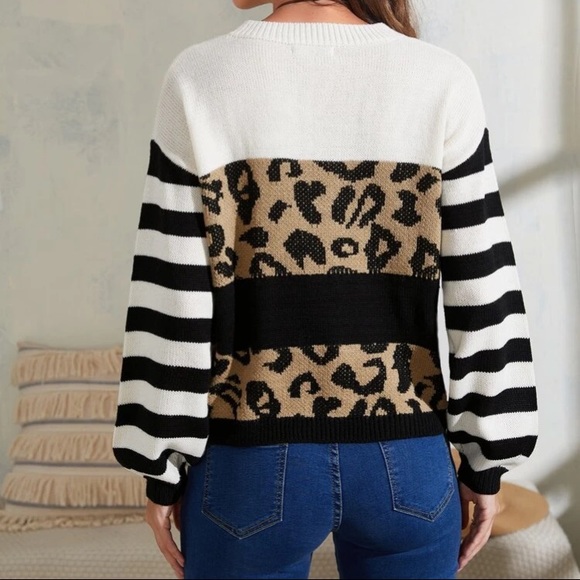 🆕LAST ONE🛍 Bold Stripes Leopard Colorblock Sweater - Picture 3 of 4